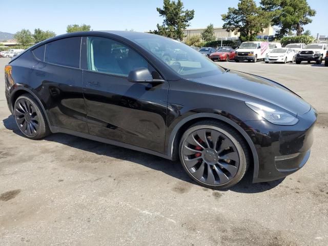 2019 Tesla Model Y