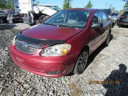 Salvage cars for sale from Copart Rocky View County, AB: 2007 Toyota Corolla CE