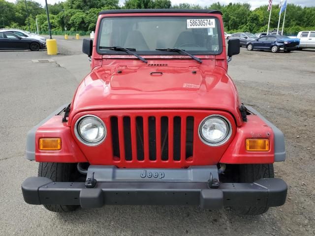 2002 Jeep Wrangler / TJ X