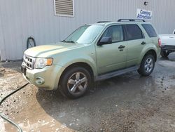 Ford Vehiculos salvage en venta: 2008 Ford Escape XLT