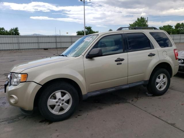 2010 Ford Escape XLT