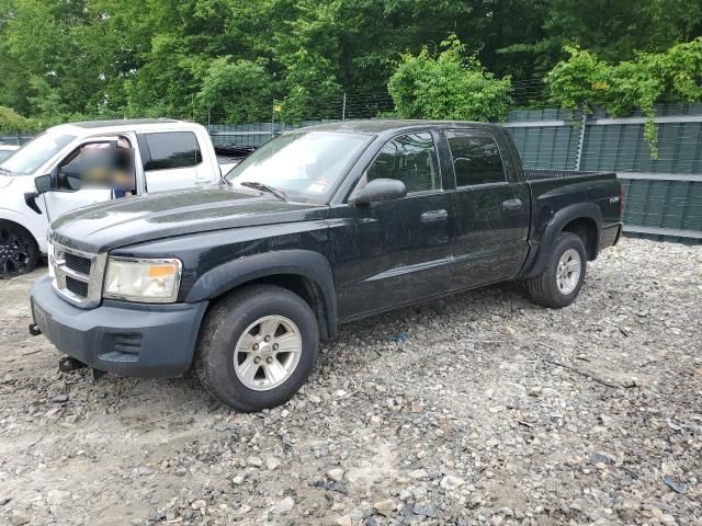 2008 Dodge Dakota SXT