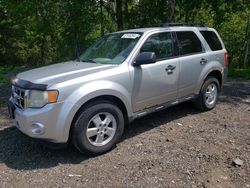 2010 Ford Escape XLT for sale in Bowmanville, ON