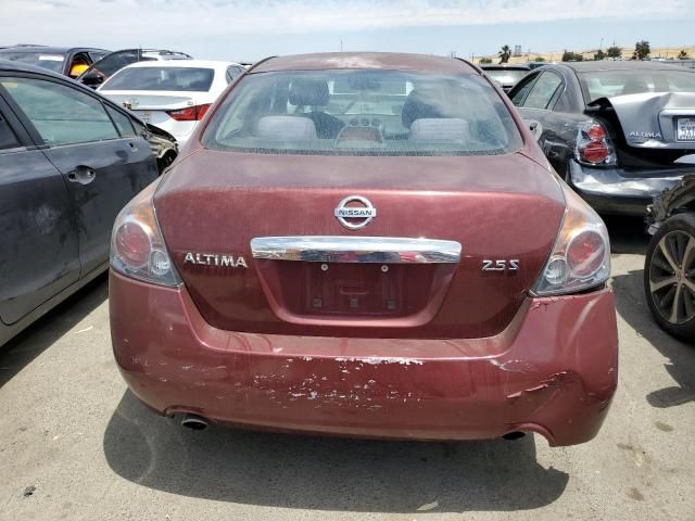 2010 Nissan Altima Base