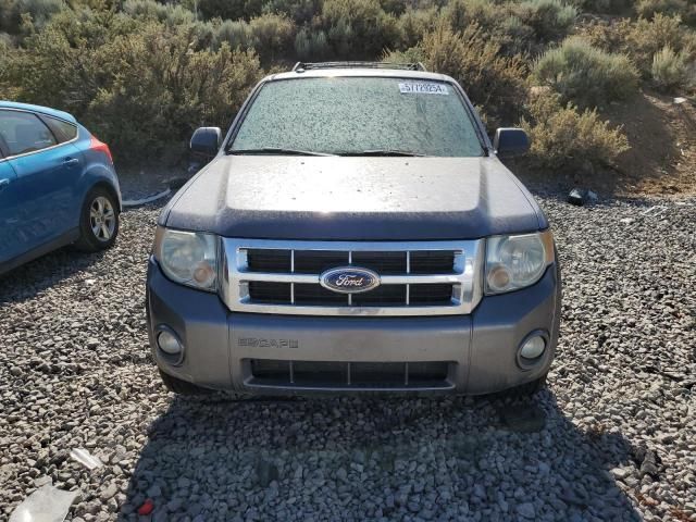 2011 Ford Escape XLT