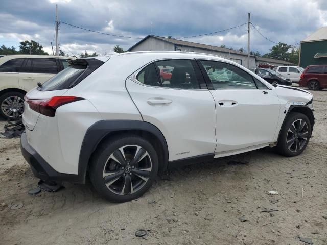 2020 Lexus UX 250H