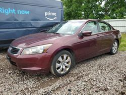 Salvage cars for sale from Copart Central Square, NY: 2010 Honda Accord EXL