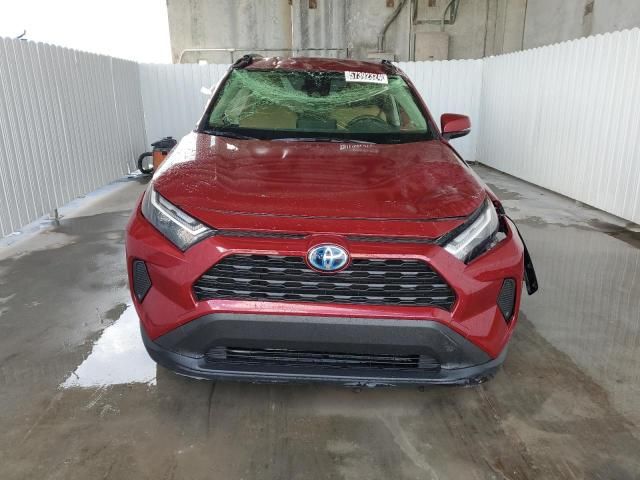 2023 Toyota Rav4 LE