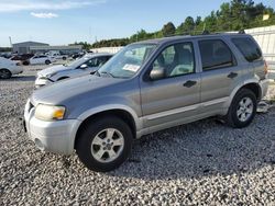 2007 Ford Escape XLT en venta en Memphis, TN