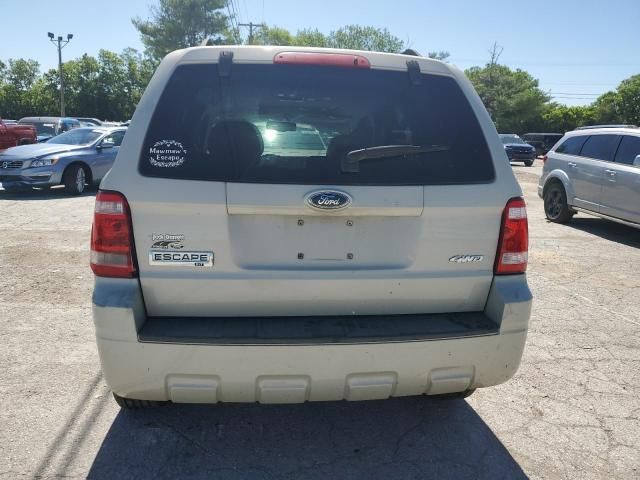 2008 Ford Escape XLT