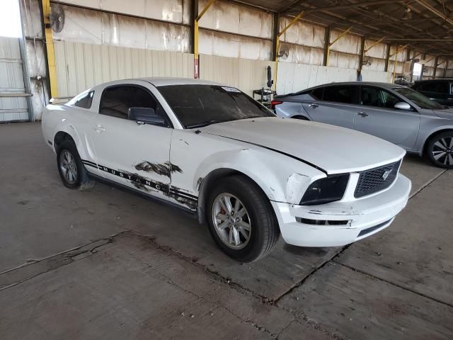 2005 Ford Mustang