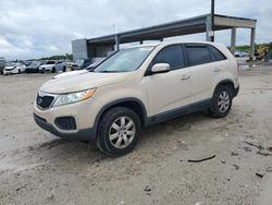 KIA salvage cars for sale: 2011 KIA Sorento Base