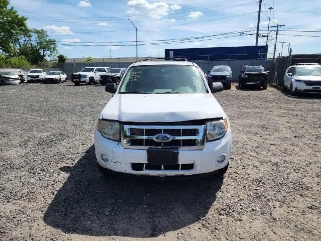 2008 Ford Escape XLT