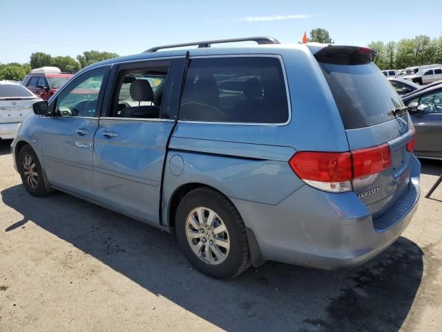 2008 Honda Odyssey EXL