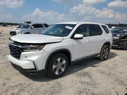 Honda Pilot exl salvage cars for sale: 2024 Honda Pilot EXL