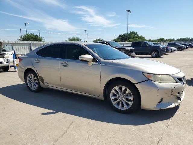 2014 Lexus ES 300H