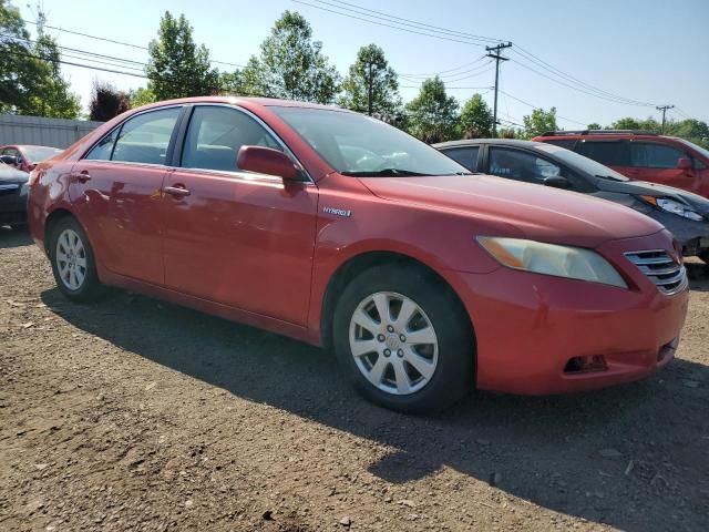 2009 Toyota Camry Hybrid