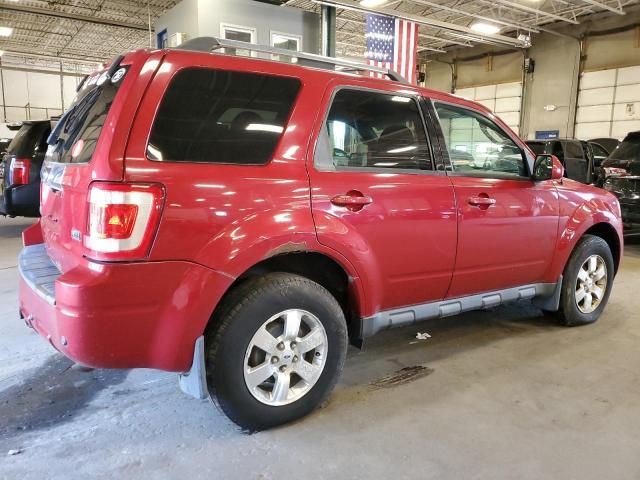 2010 Ford Escape Limited