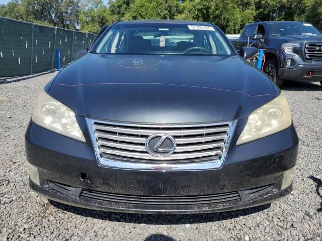 2010 Lexus ES 350