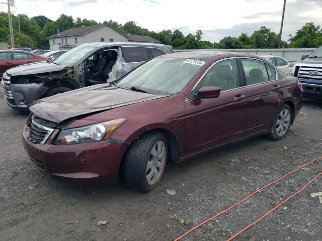 2009 Honda Accord EXL