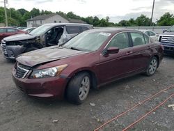 Honda Accord EXL salvage cars for sale: 2009 Honda Accord EXL