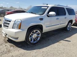 Salvage cars for sale from Copart Los Angeles, CA: 2014 Cadillac Escalade ESV Platinum