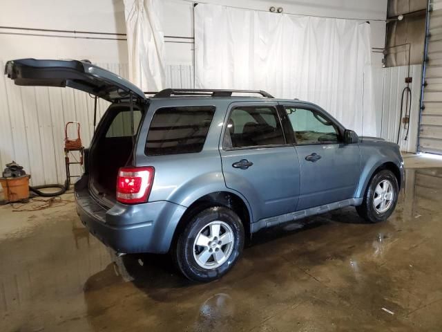 2010 Ford Escape XLT