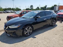 Nissan Maxima salvage cars for sale: 2019 Nissan Maxima S