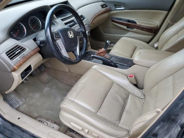 2009 Honda Accord EXL