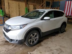 Honda salvage cars for sale: 2019 Honda CR-V EXL