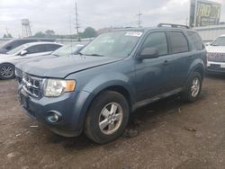 2010 Ford Escape XLT for sale in Chicago Heights, IL