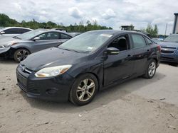 2013 Ford Focus SE for sale in Duryea, PA