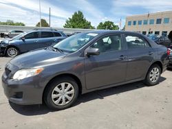 Salvage cars for sale from Copart Littleton, CO: 2010 Toyota Corolla Base