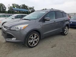 Ford Escape Titanium salvage cars for sale: 2013 Ford Escape Titanium