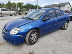 Dodge Neon SXT salvage cars for sale: 2004 Dodge Neon SXT