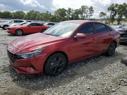 Hyundai Elantra salvage cars for sale: 2023 Hyundai Elantra Blue