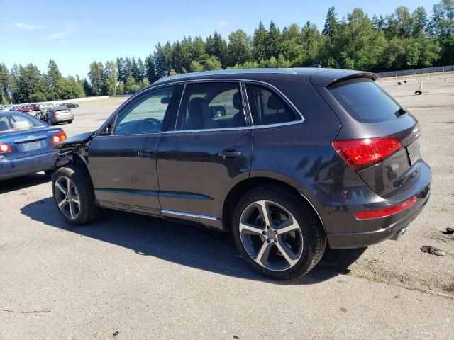 2014 Audi Q5 TDI Premium Plus