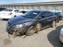 2017 Nissan Sentra S en venta en Louisville, KY