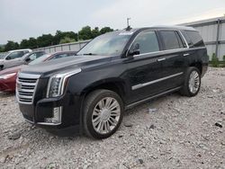 Cadillac salvage cars for sale: 2019 Cadillac Escalade Platinum