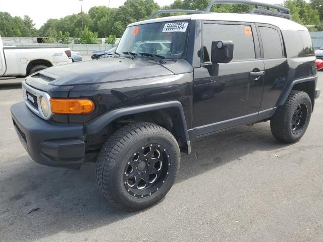 2007 Toyota FJ Cruiser