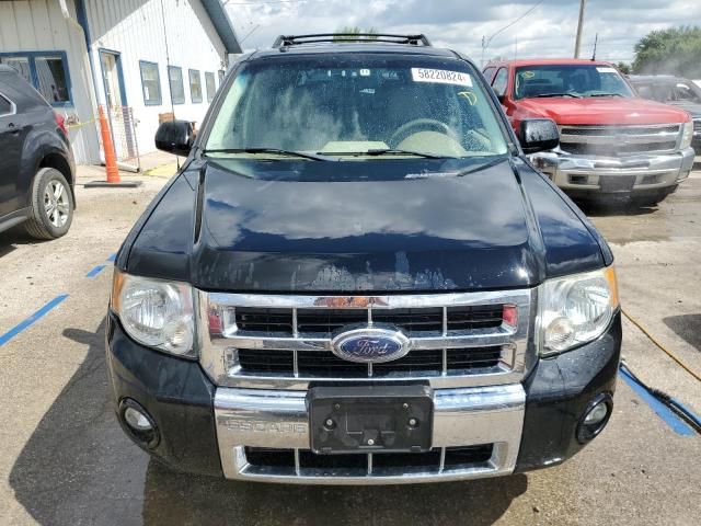 2008 Ford Escape Limited