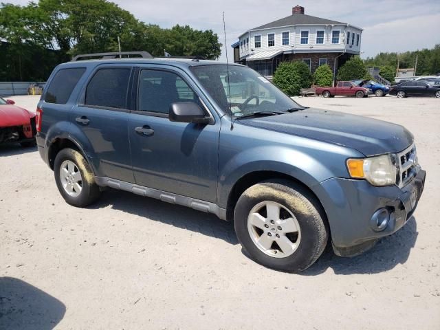 2011 Ford Escape XLT