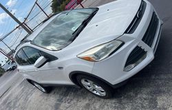 2013 Ford Escape SE en venta en Apopka, FL
