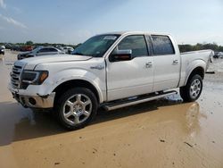 2013 Ford F150 Supercrew en venta en San Antonio, TX