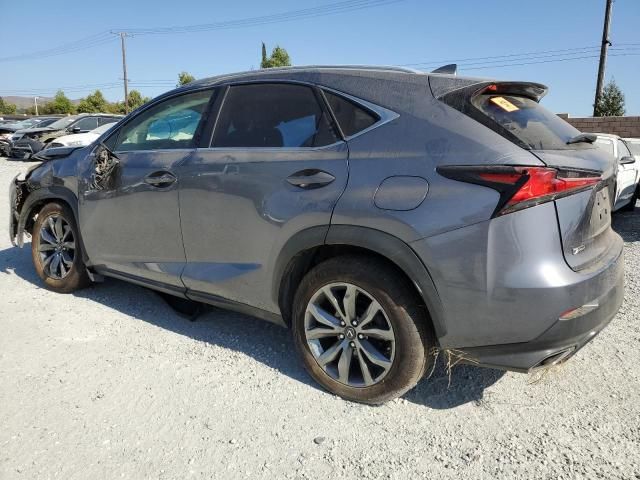 2019 Lexus NX 300 Base