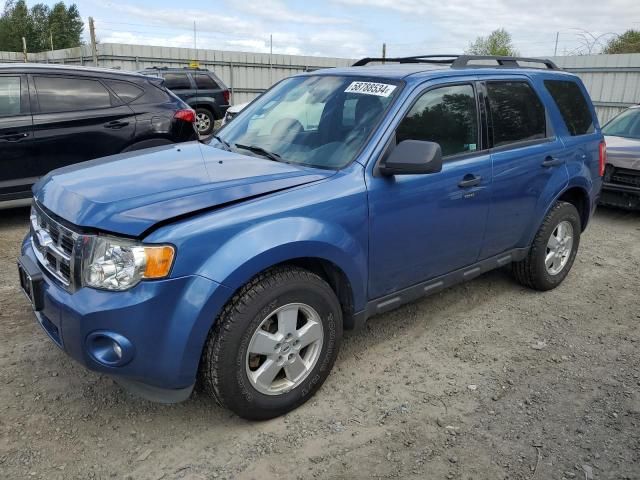 2009 Ford Escape XLT