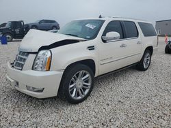 2013 Cadillac Escalade ESV Platinum en venta en Temple, TX