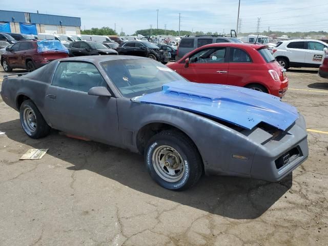 1982 Pontiac Firebird Trans AM