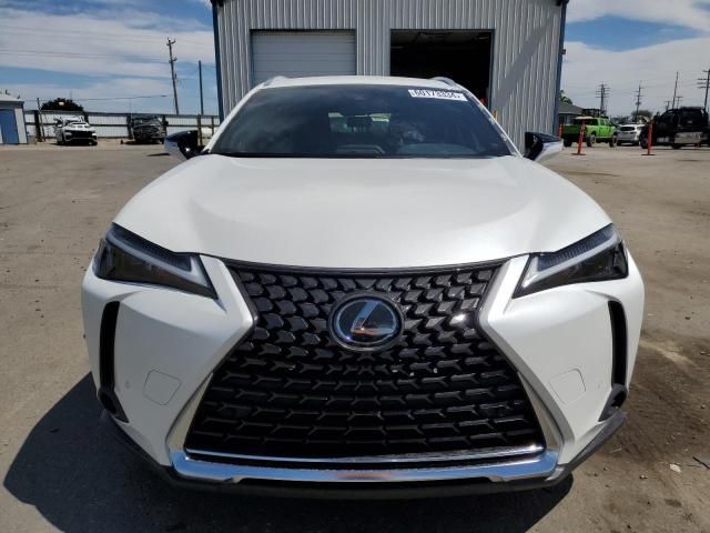 2023 Lexus UX 250H Base