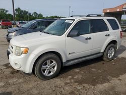 2009 Ford Escape Hybrid for sale in Fort Wayne, IN